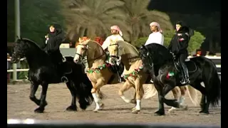 ميحد حمد   عطر الورد  فيديو كليب    قناة نجوم دندنها