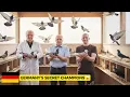 Germany’s Pigeon  —  MastersHow Four Men Took Over the Sky  .