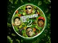 OBSERVANDO ESSA SALADA 2 - MC Cebezinho, MC Lele JP e MC Negão Original (DJ Yuri Pedrada)