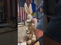 Making an exceptional rabbit with a wooden log