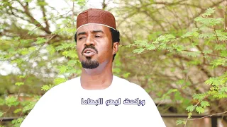 في تهامة عبد المحمود نور الدائم 