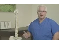 Vertebrae Fracture Symptoms and Treatments The Biospine Institute