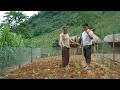 Download Lagu After the Storm, An Emotional Meeting Between Zim and Ly Thi Di