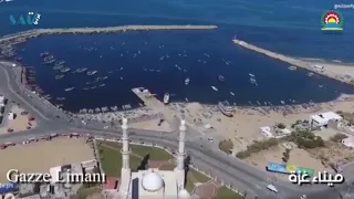 ميل على بلدي بدون موسيقى 