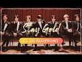 Download Lagu [8D AUDIO] BTS - Stay Gold [立体音響 🎧 高音質] 日本語歌詞