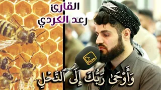 و أ و ح ى ر ب ك إ ل ى ٱلن ح ل تلاوة ممتعة من ليالي رمضان 1441 للشيخ رعد الكردي 
