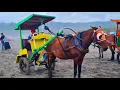 Download Lagu NAIK KUDA - KUDA DELMAN - NAIK DELMAN DI PANTAI PARANGTRITIS - NAIK DELMAN ISTIMEWA KU DUDUK DIMUKA