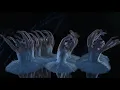 Swan Lake – Act II corps de ballet (The Royal Ballet)