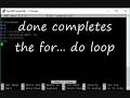 05 Linux Shell Scripting and Math