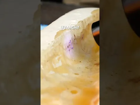 Encasing a Dinosaur Skeleton in Epoxy Resin 🤯🦖