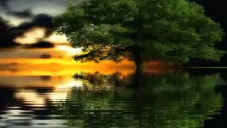 ابو داؤاد حبيبى ناوى الرحيل تغريد محمد 