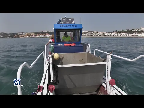 YouTube player