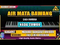 Download Lagu AIR MATA BAWANG - CACA HANDIKA KARAOKE DANGDUT KN1400