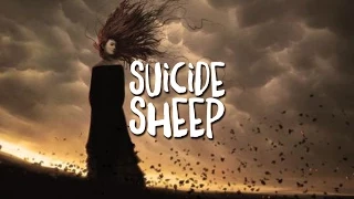 daughter medicine sound remedy remix 