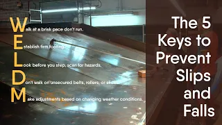 Inside series - The five keys to prevent slips and falls UPS WELDM