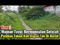 Download Lagu Wow‼️Mainan Tuyul Bermunculan Setelah Puluhan Tahun Kali Irigasi Ini Tak Pernah Di Keruk