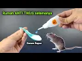 Download Lagu Kenapa tidak dari dulu, padahal banyak yang butuh cara ini !!!