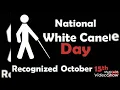 Download Lagu 15 October World White Cane Day | Whatsapp Status | #worldwhitecaneDay