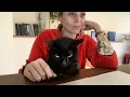 Download Lagu When Cats Start Giving You Attitude 😂 Funny Cat and Human