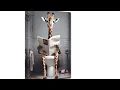 CXHOSTENT Funny Giraffe Bathroom Canvas Wall Art Giraffe Reading Newspapers Toilet Pictures Prints