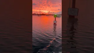 Unreal “Red Sky in the Morning” down here in Florida.