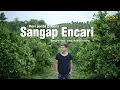 Lagu Peri jonta Pinem - SANGAP ENCARI [Official Music Video]