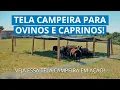 KIT Campeira Ovino + Catraca - 0,80m X 100m Vídeo do produto - KIT Campeira Ovino + Catraca - 0,80m X 100m
