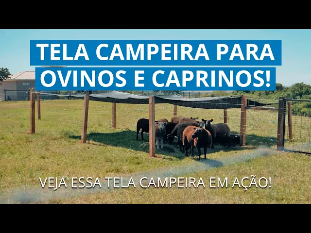 KIT Campeira Ovino + Catraca - 1,20m X 50m Vídeo do produto - KIT Campeira Ovino + Catraca - 1,20m X 50m