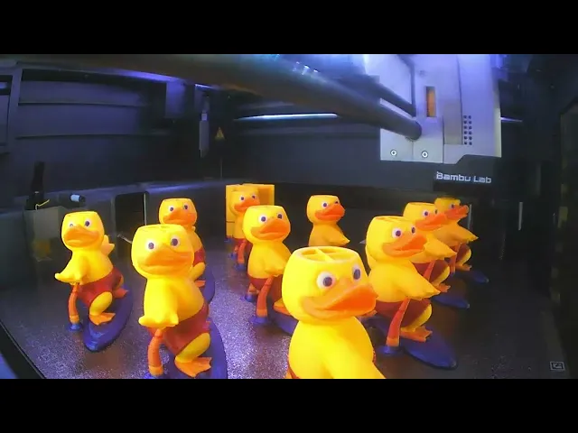 Surfer Duck video thumbnail