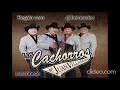 Los Cachorros De Juan Villareal - Regalo caro