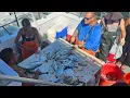 FISHING WITH FRIENDS AND FAMILY SOUND BOUND CHARTERS