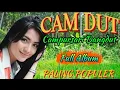 Download Lagu FULL ALBUM CAMPURSARI DANGDUT JAWA  TERPOPULER
