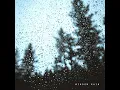 Summer Rain