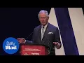 Who is Cheryl Tweedy Prince Charles jokes about singer s name - Daily Mail