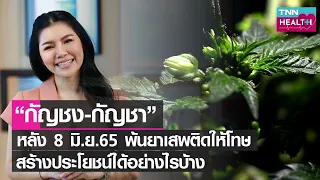 น้ำมันจากเมล็ดกัญชงมีประโยชน์ต่อสุขภาพอย่างไรบ้าง