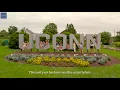 UConn Panhellenic 2021 Formal Recruitment