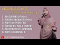 Download Lagu Kumpulan Lagu Bugis Hits - Selfi Yamma Lida