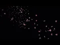 【オリジナルMV】百花繚乱【初音ミク】