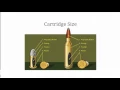 Bullet Comparison Calibers and Bullet Measurements Explained