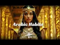 Download Lagu DJ GROSSU _ Arabic Habibi👑Best Arabic \u0026 Oriental Instrumental Beats | Official song