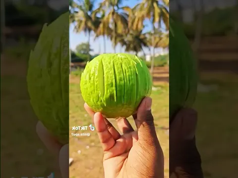 #quran