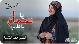 زينب محمد ولأول مرة انشودة يا حمام يا طاير اجواءء مختلفه تعرض لأول مره 