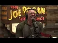 Tim Dillon - BEST rant EVER