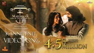 kannil ente video song vineeth sreenivasan swetha mohan pranav mohanlal kalyani priyadarshan