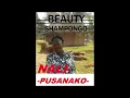 Download Lagu BEAUTY SHAMPONGO NEW SONG NALIPUSANAKO BESTWORSHIP [ZAMBIANMUSIC] ZEDGOSPEL2018