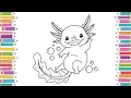 How to Draw Axolotl Axolotl Coloring Page