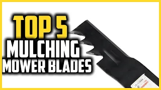 Top 5 Best Mulching Mower Blades in 2025