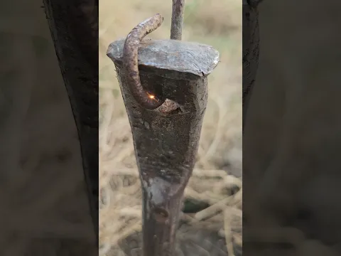 Live Earth leakage