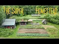 They Built a 1 Acre Homestead on Unfarmable Land Now It Makes Them 13 000 a Week