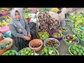 Lagu CUPLIKAN TENTANG PASAR BUAH PASREPAN MAKMUR NYA BUMI WILAYAH PASREPAN HASIL DARI PARA PETANI DISINI